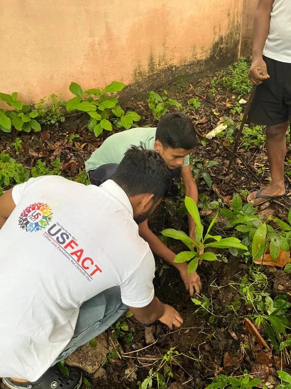 PLANTATION DRIVE